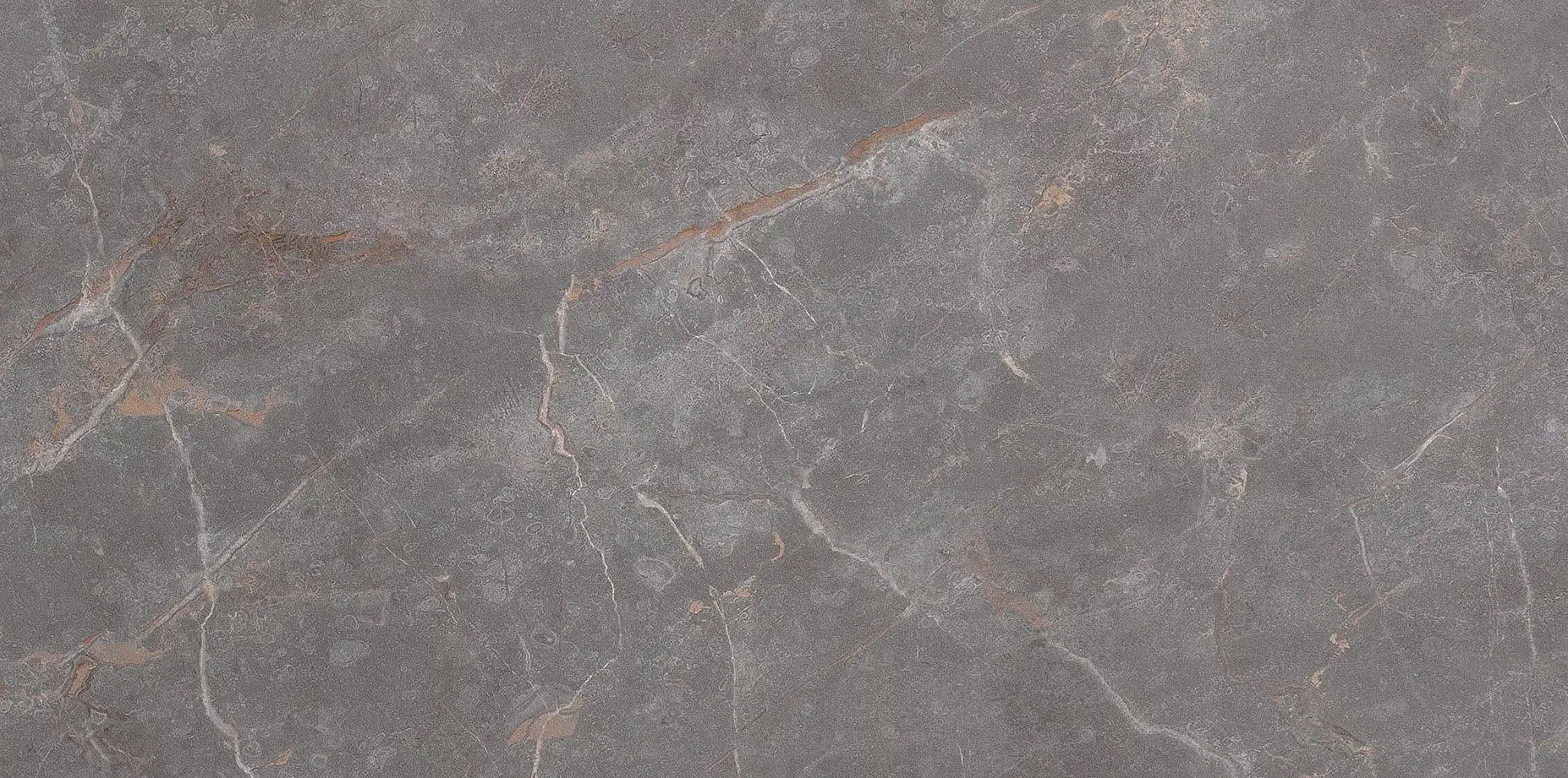 fRF6_RomaStonePietraGreyMatt FAP Roma Stone