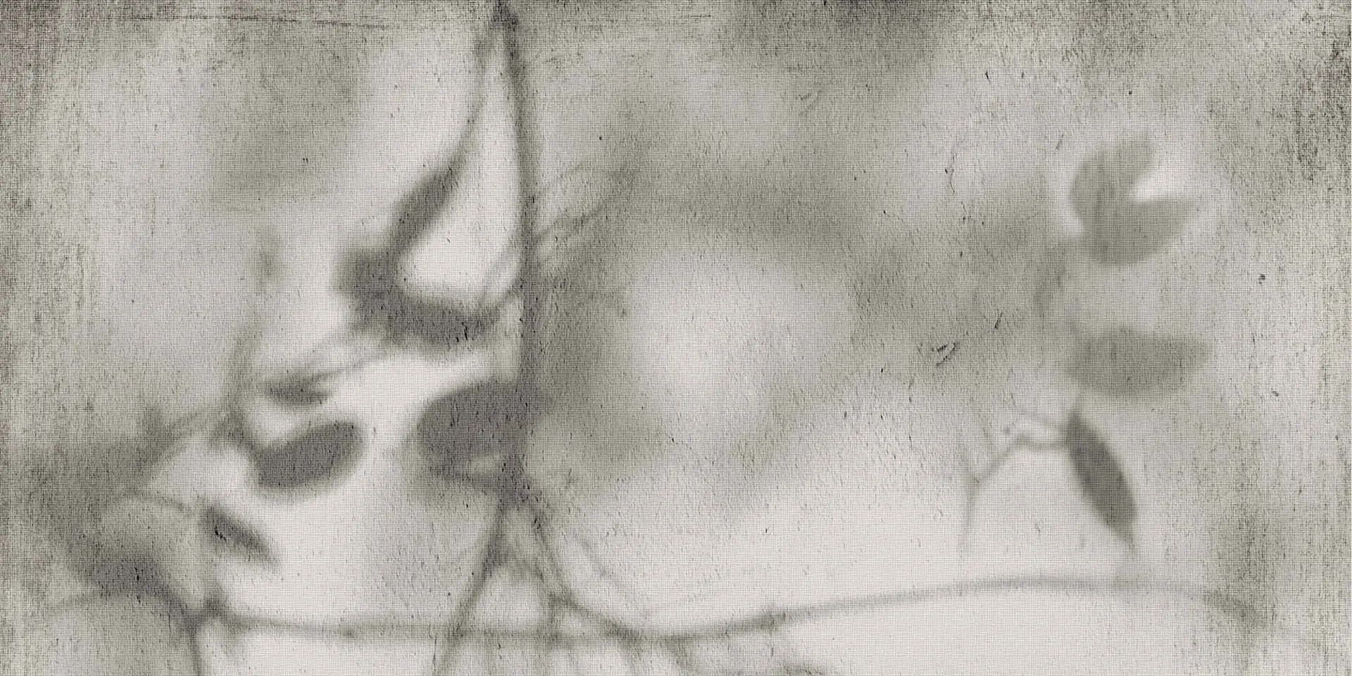 PF60012582_ART WALLS SHADOW NAT R Flaviker Art Walls