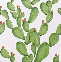 Verde Verticale Cactus Francesco De Maio Verde Verticale