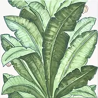 Verde Verticale Jungle Francesco De Maio Verde Verticale