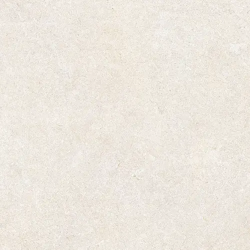 Gambini, Cathedrale, REIMS BLANC3030