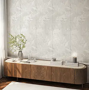 Carrelage, Teinte blanche, Grès cérame émaillé, 60x120 cm, Surface mate