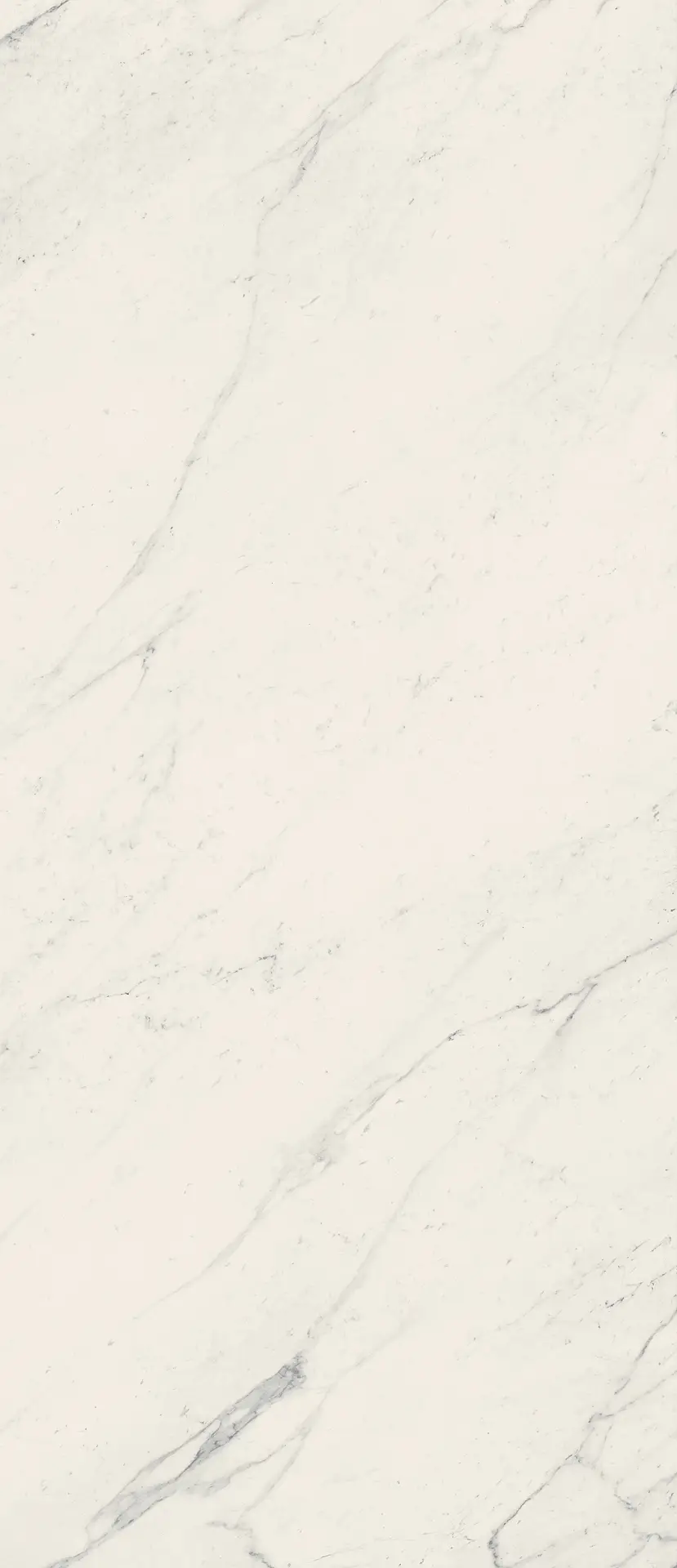 PF60009717_MARM. SAHARA WHITE LUX RET Gardenia Orchidea La Marmoteca