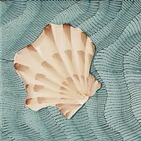 Thalassa Decoro 1 Giada Giovanni De Maio 03 Cristina Celestino