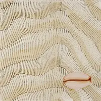 Thalassa Decoro 3 Avana Giovanni De Maio 03 Cristina Celestino