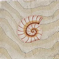 Thalassa Decoro 4 Avana Giovanni De Maio 03 Cristina Celestino