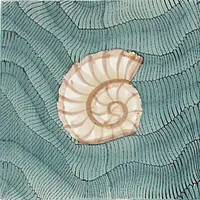 Thalassa Decoro 4 Giada Giovanni De Maio 03 Cristina Celestino