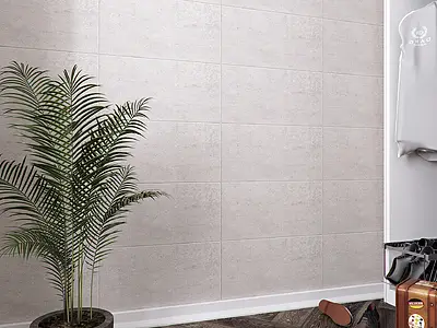 Piastrella di fondo, Effetto cemento, Colore grigio, Ceramica, 30x60 cm, Superficie opaca