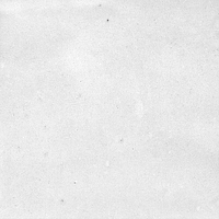 40846_SAMIRA WHITE LT//R Harmony Samira