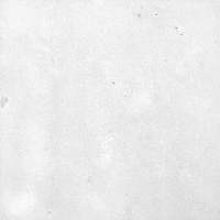 40846_SAMIRA WHITE LT//R Harmony Samira