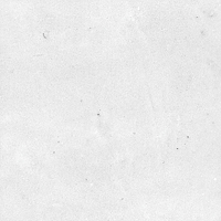 40846_SAMIRA WHITE LT//R Harmony Samira