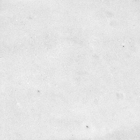 40846_SAMIRA WHITE LT//R Harmony Samira