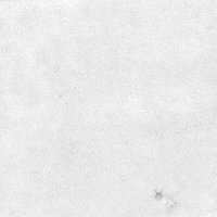 40846_SAMIRA WHITE LT//R Harmony Samira