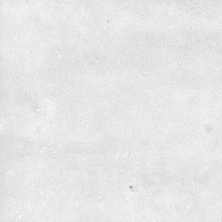 40846_SAMIRA WHITE LT//R Harmony Samira