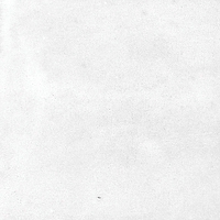 40846_SAMIRA WHITE LT//R Harmony Samira