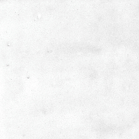 40846_SAMIRA WHITE LT//R Harmony Samira