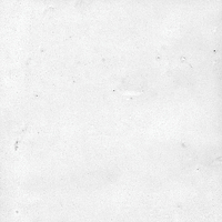 40846_SAMIRA WHITE LT//R Harmony Samira