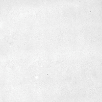 40846_SAMIRA WHITE LT//R Harmony Samira