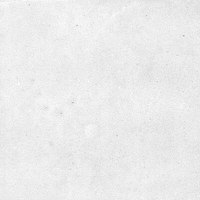 40846_SAMIRA WHITE LT//R Harmony Samira