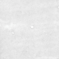 40846_SAMIRA WHITE LT//R Harmony Samira