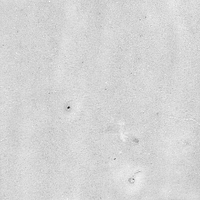 40846_SAMIRA WHITE LT//R Harmony Samira