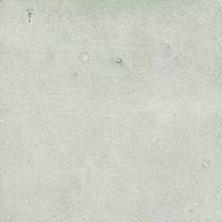 40902_SAMIRA MINT LT//R Harmony Samira