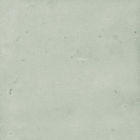 40902_SAMIRA MINT LT//R Harmony Samira