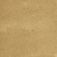 40842_SAMIRA GOLD LT//R Harmony Samira