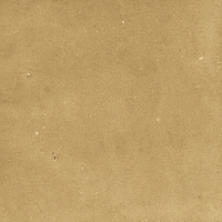 40842_SAMIRA GOLD LT//R Harmony Samira