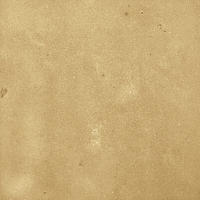 40842_SAMIRA GOLD LT//R Harmony Samira