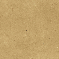 40842_SAMIRA GOLD LT//R Harmony Samira