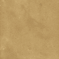 40842_SAMIRA GOLD LT//R Harmony Samira