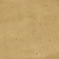 40842_SAMIRA GOLD LT//R Harmony Samira