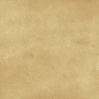 40842_SAMIRA GOLD LT//R Harmony Samira