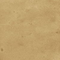 40842_SAMIRA GOLD LT//R Harmony Samira