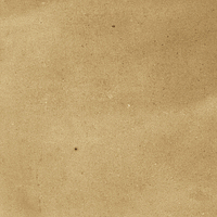 40842_SAMIRA GOLD LT//R Harmony Samira