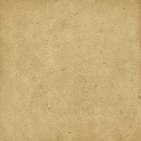 40842_SAMIRA GOLD LT//R Harmony Samira