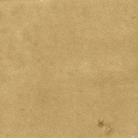 40842_SAMIRA GOLD LT//R Harmony Samira