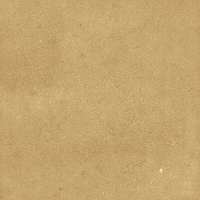 40842_SAMIRA GOLD LT//R Harmony Samira