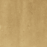 40842_SAMIRA GOLD LT//R Harmony Samira