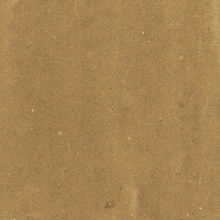 40842_SAMIRA GOLD LT//R Harmony Samira