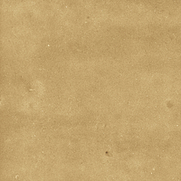 40842_SAMIRA GOLD LT//R Harmony Samira