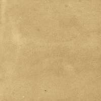 40842_SAMIRA GOLD LT//R Harmony Samira