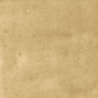 40842_SAMIRA GOLD LT//R Harmony Samira