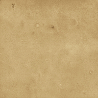 40842_SAMIRA GOLD LT//R Harmony Samira