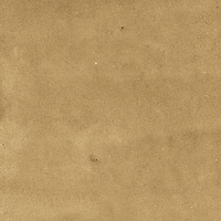 40842_SAMIRA GOLD LT//R Harmony Samira