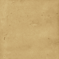 40842_SAMIRA GOLD LT//R Harmony Samira