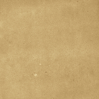 40842_SAMIRA GOLD LT//R Harmony Samira