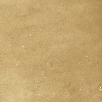 40842_SAMIRA GOLD LT//R Harmony Samira