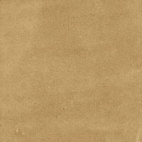 40842_SAMIRA GOLD LT//R Harmony Samira